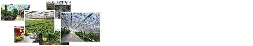 24小時(shí)免費咨詢(xún)、免費技術(shù)指導
