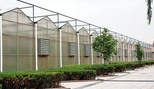 規模大，質(zhì)量好