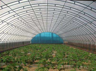 技術(shù)專(zhuān)業(yè)，服務(wù)到位