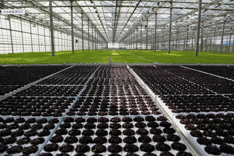 實(shí)力雄厚，品質(zhì)保證！