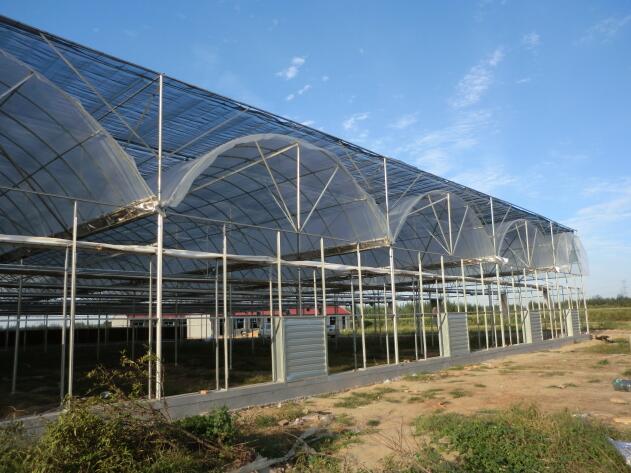 陜西溫室大棚突然遇到冰雹天氣該如何避免？